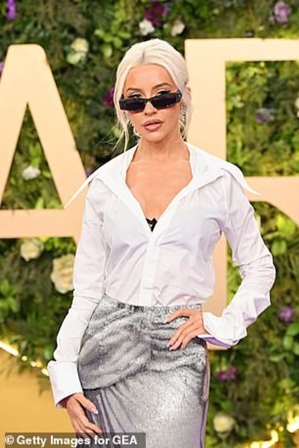 94249065 14300535 image a 23 1737238221713