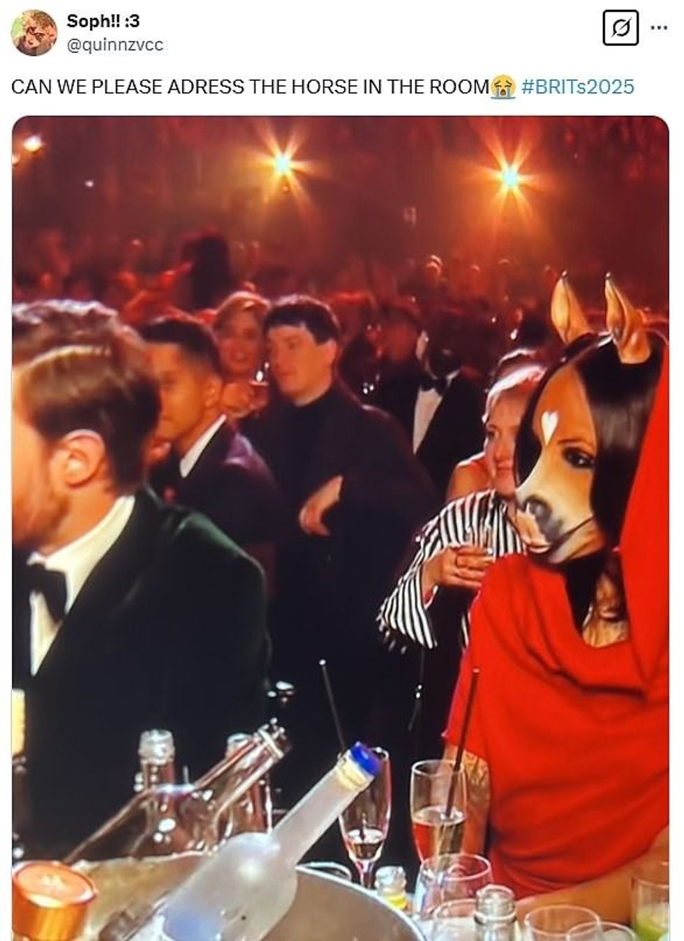 95733055 14451505 image a 41 1740879570253