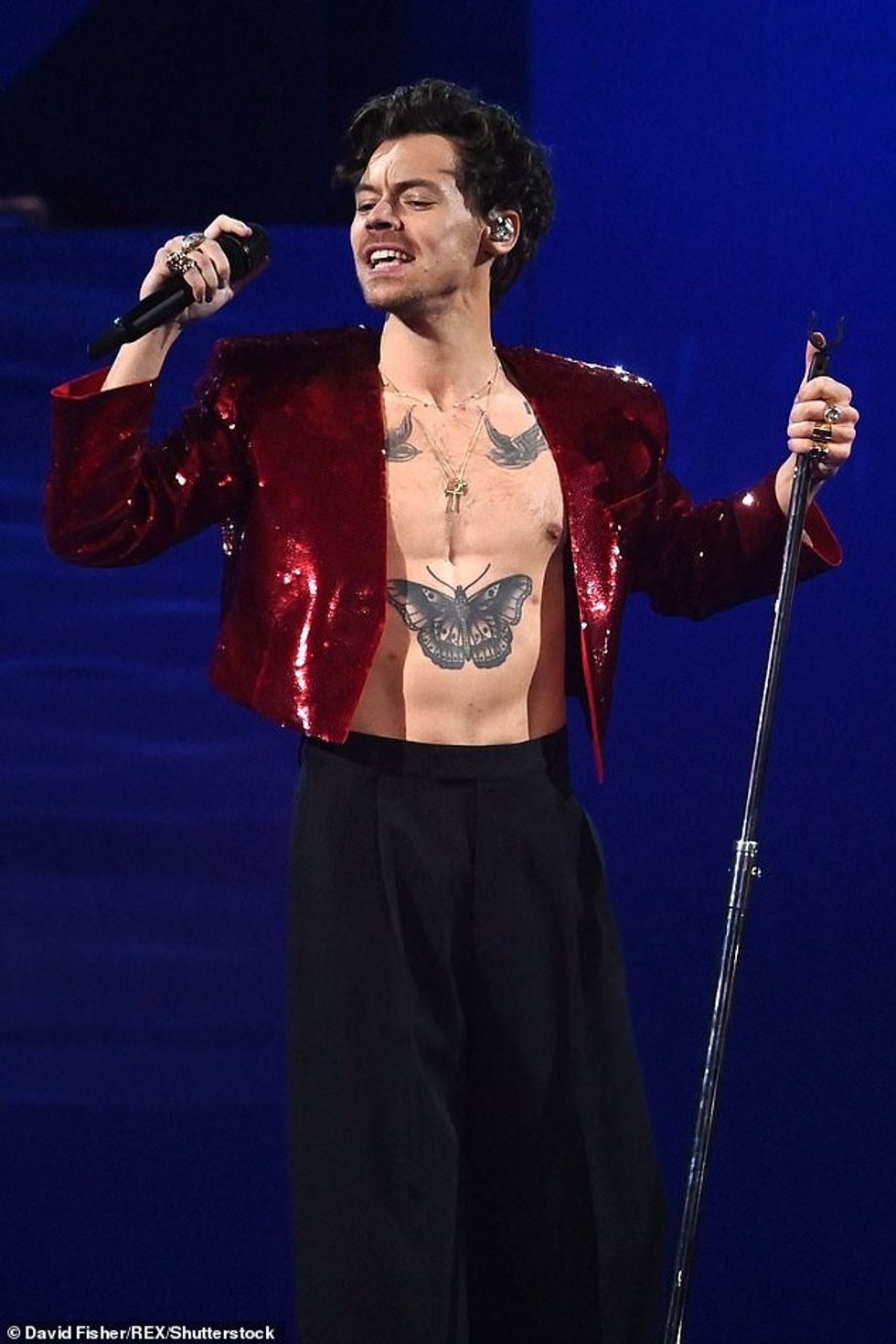 96675439 14547265 image a 47 1743170885527