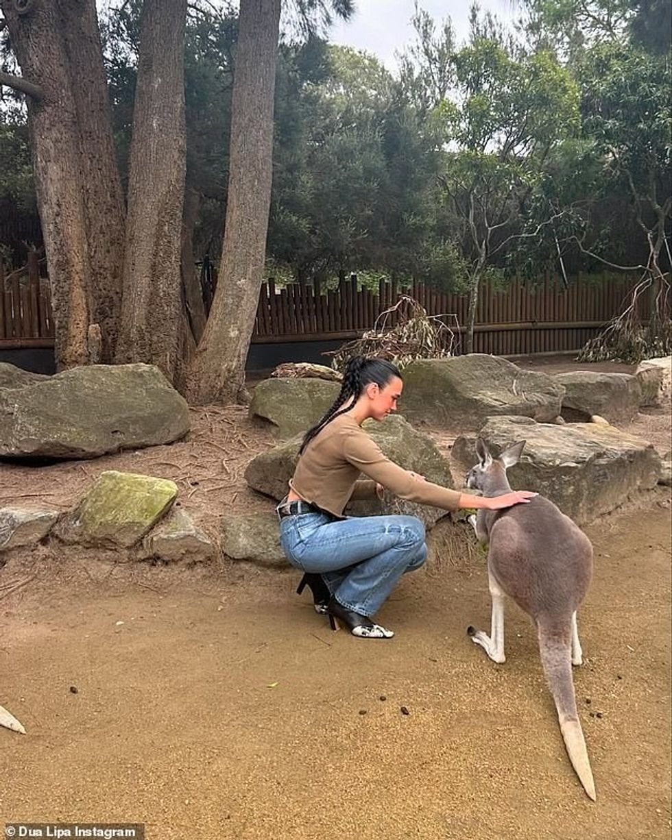 96705711 14550163 image a 104 1743260587510