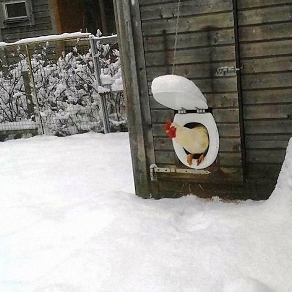 970318a5 e9d1 4cf1 9dbc 4af3395289ea