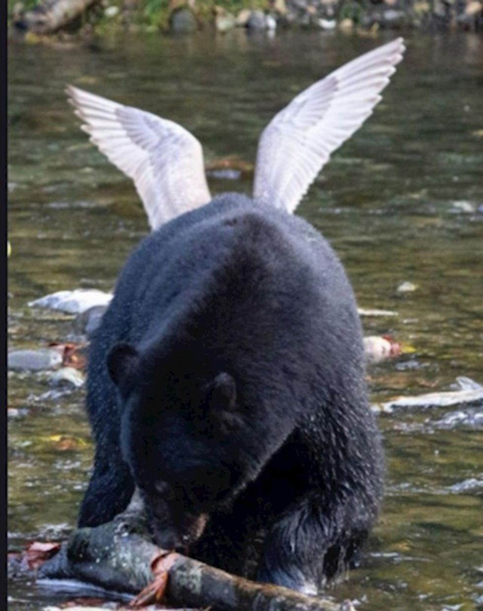 97241b6b abe5 4c43 bdec a38782a97a9e