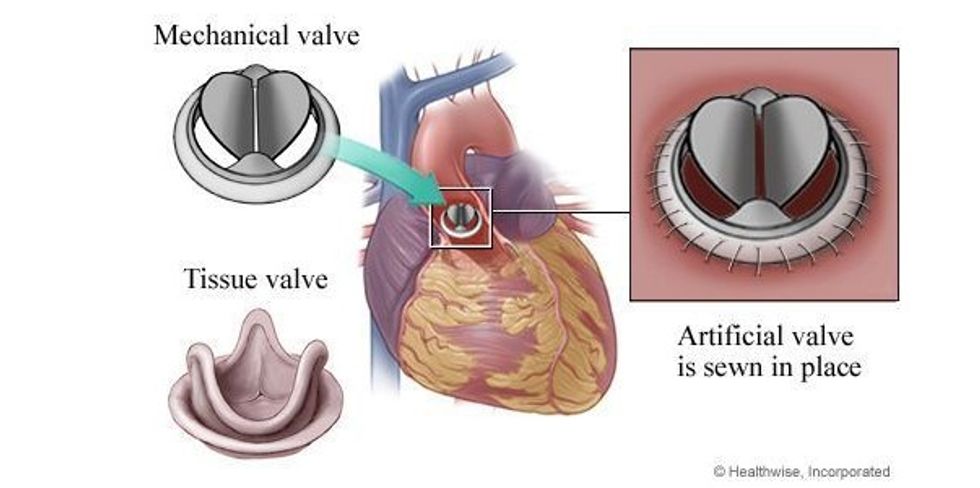 97395339 846675619191859 2839007660789989376 n