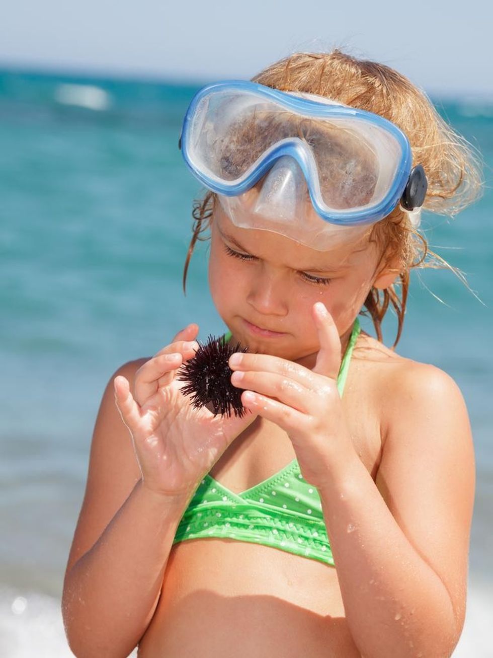 980b5af24586523db3de