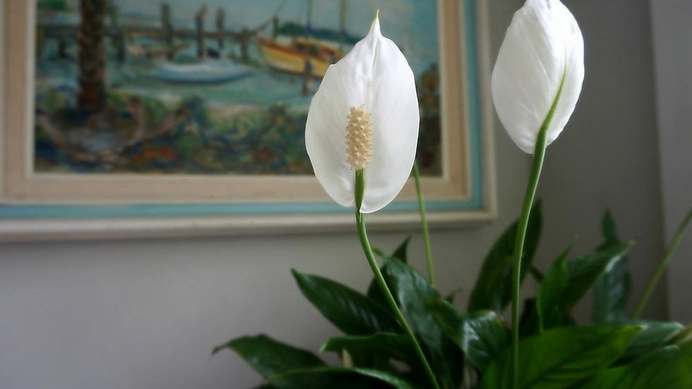 9834c34d9bcad53c3049987383de618707bc7c2f