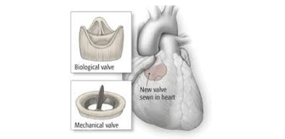 98414675 240794163897905 7993576574769168384 n