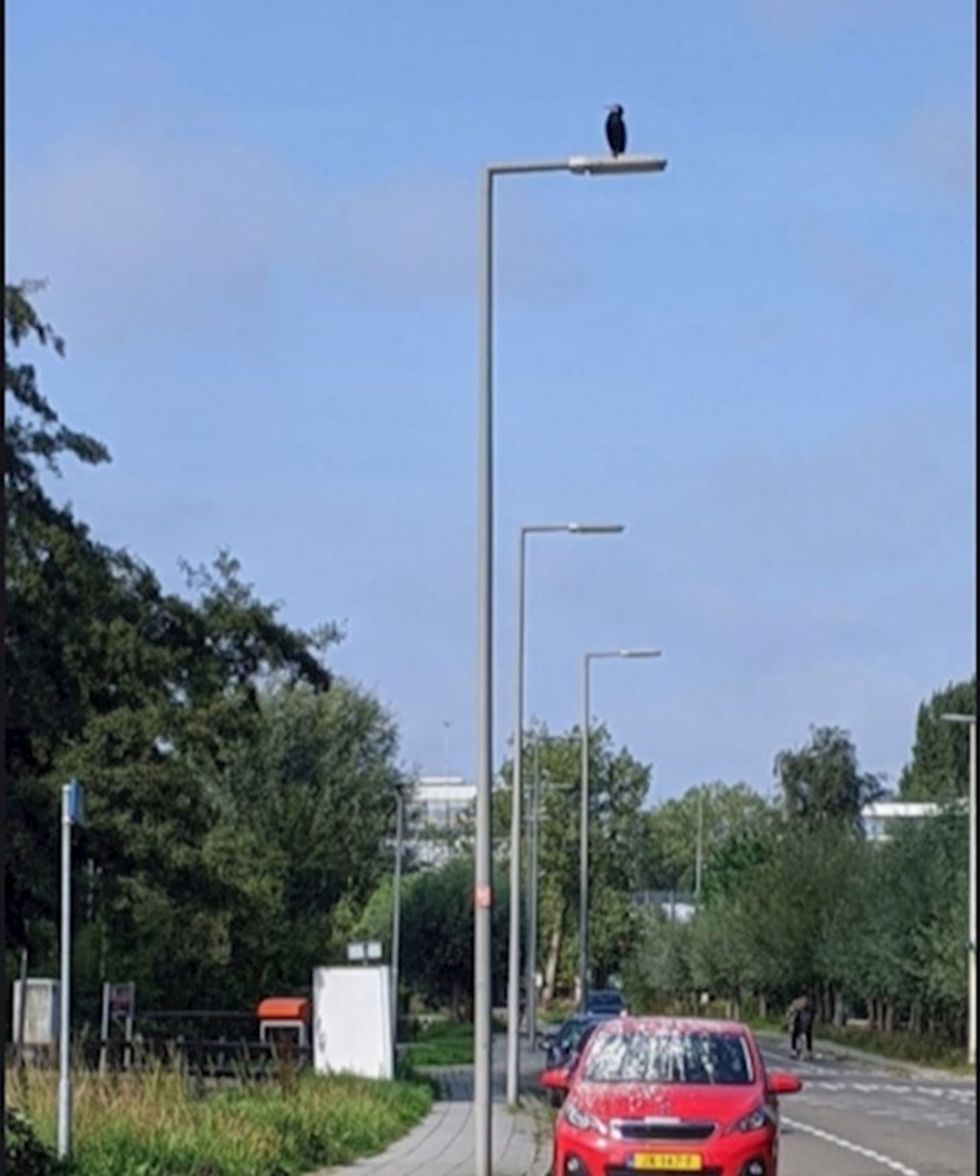 995fdc2d ce3e 44c3 aac1 3e39d21666b4