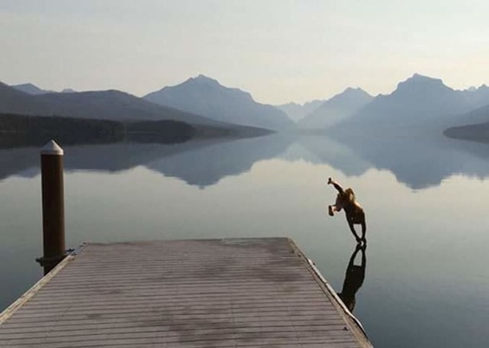 9b5b2baf cb82 4f4d 88e4 e588c881c1b0