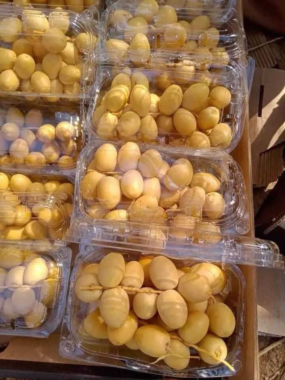 9cee7196 3d01 4ee9 8292 bef8b7bbea31