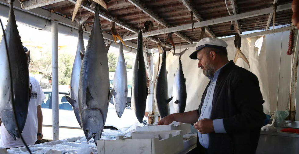 9ebbb6f4dd11cc21e99437fce0424dddf91b42d2