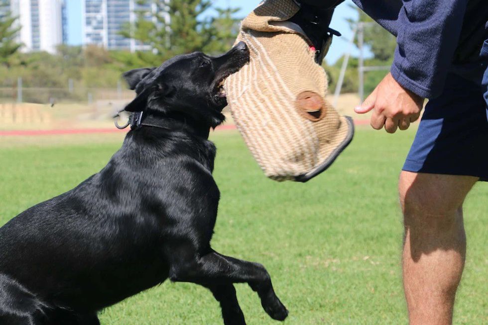 9fde12efe204756e7da0aecc66a6148d