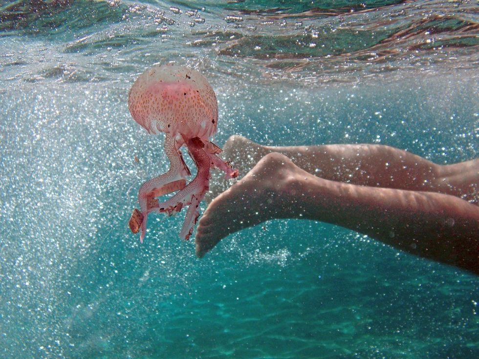 a boy and jellyfish swimming in the sea picture id1080119200