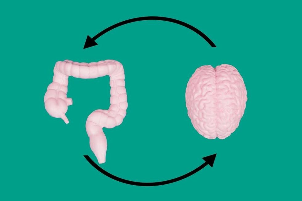 a shutterstock 2419669409 ff