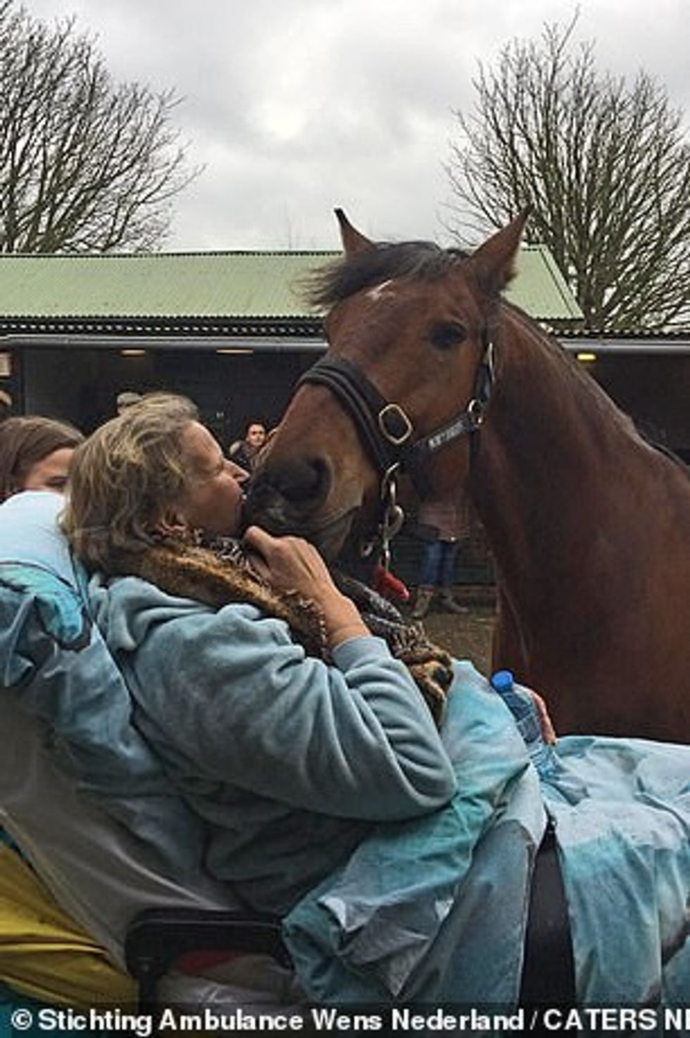 A woman meeting a horse