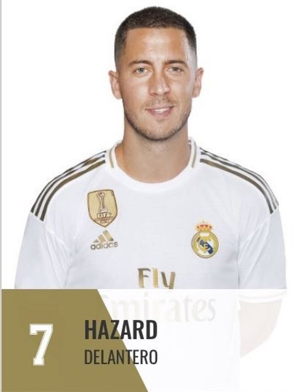 a24207905d4dbd487ad2ea1789a19dab