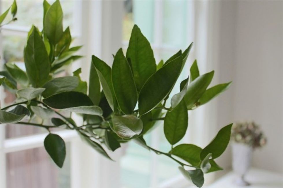 a4694b1db8942a0b4fb28a931b6149