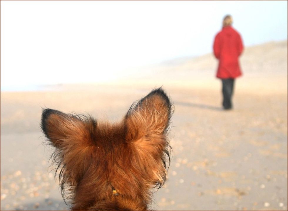 a58239a2599f80b8161b36ed1fd06f6cccf5