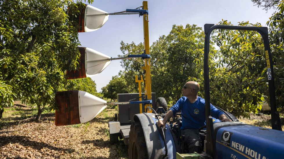 a6fb76b6c9133ab37b70ee15a597da4c