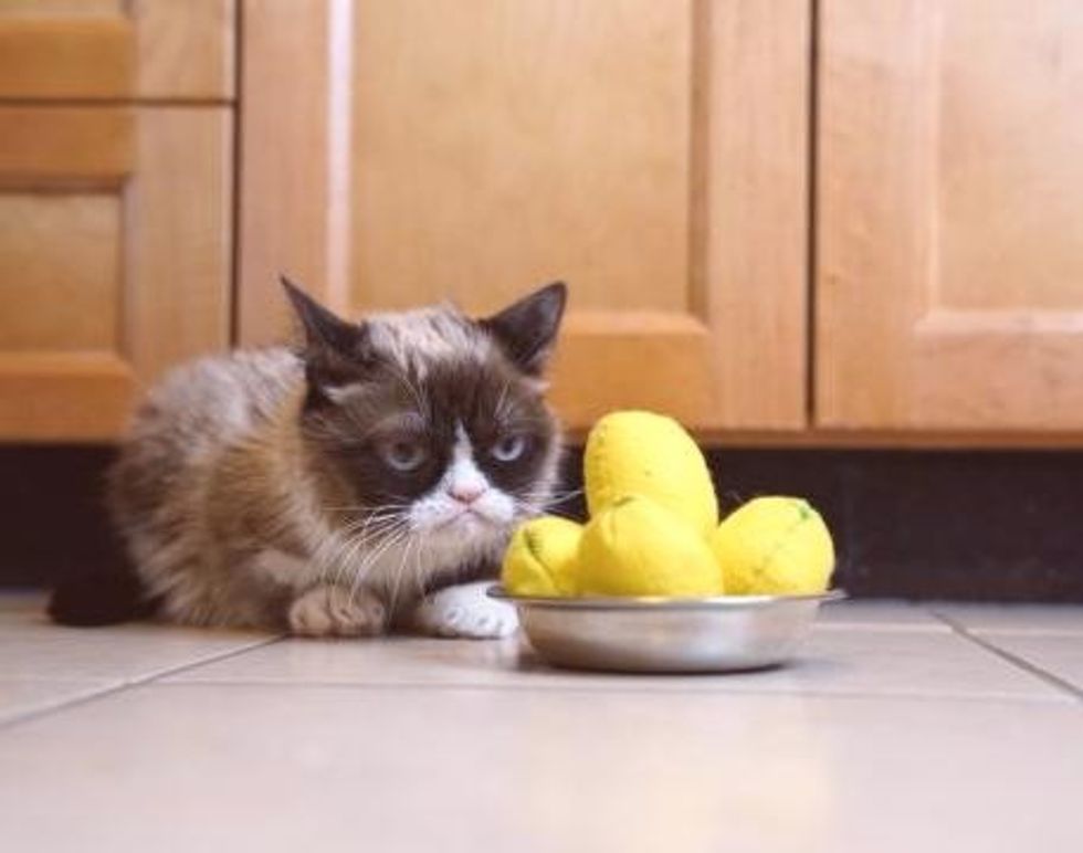 a7612846343addf0d391b97d9ecc5b