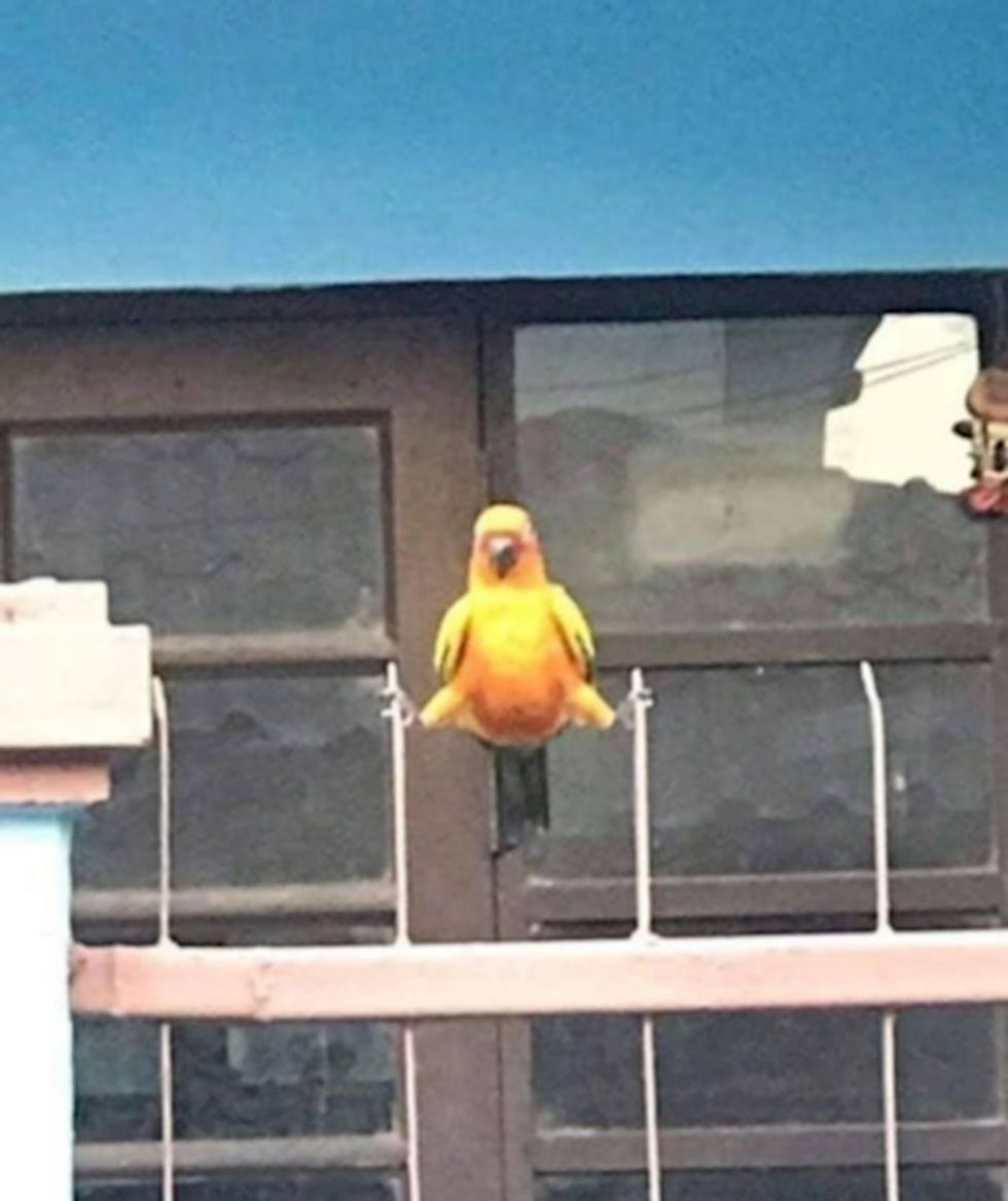 a7bb1122 a094 48f1 8be8 217fc6d7b20b