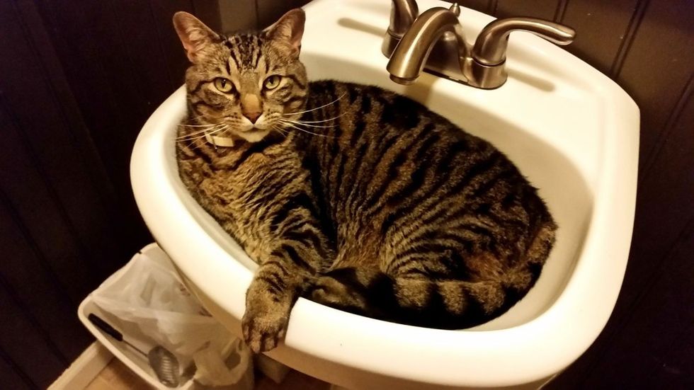 aa55bb4470465d9afc7c32c52b662426