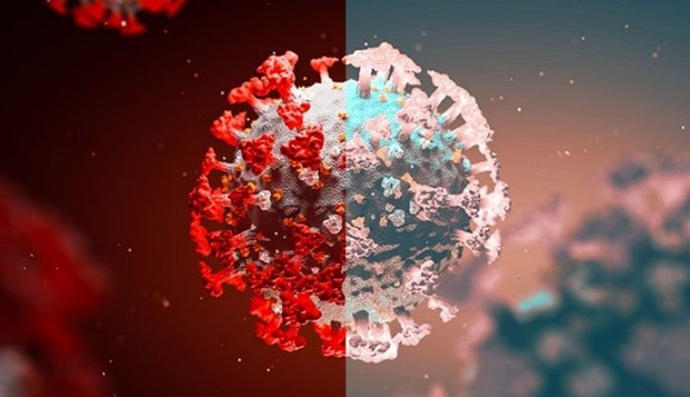 adaptiveimage.resize.702.404