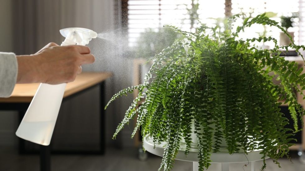 AdobeStock 306650196