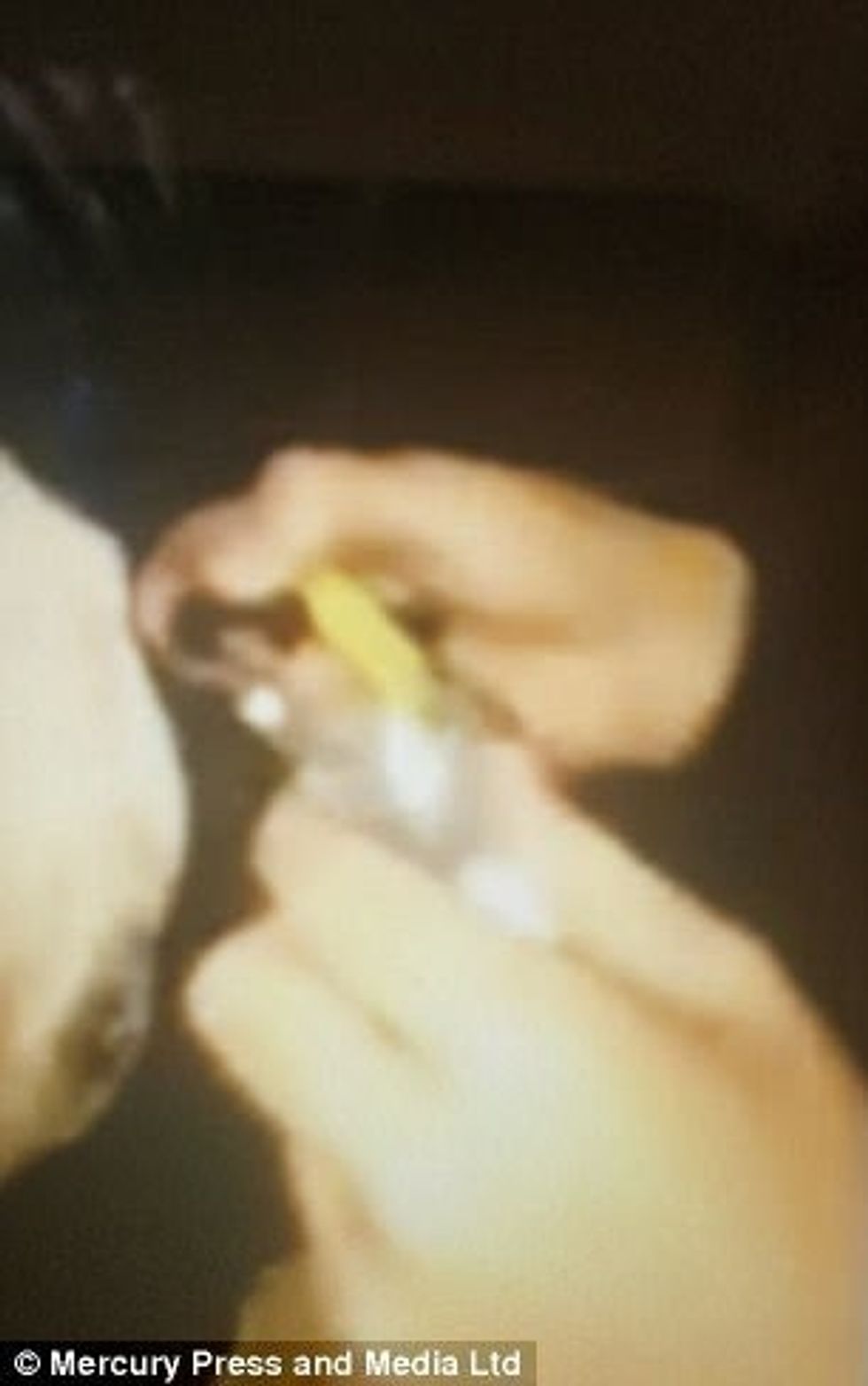 Adoleshentët detyruan kalin të merrte kokainë filmuan dhe qeshen me veprimet qe bente foto 2