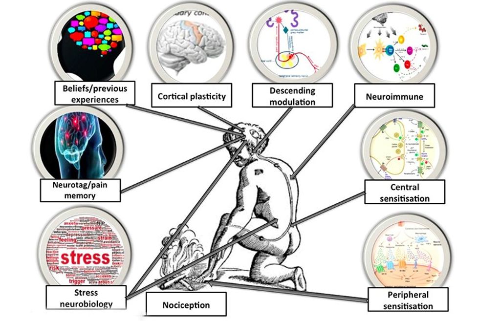 advanced cartersian model