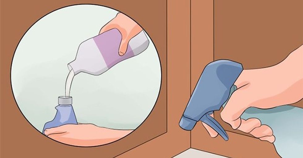 aid2723302-728px-Get-Rid-of-Ants-in-the-Kitchen-Step-6-Version-2