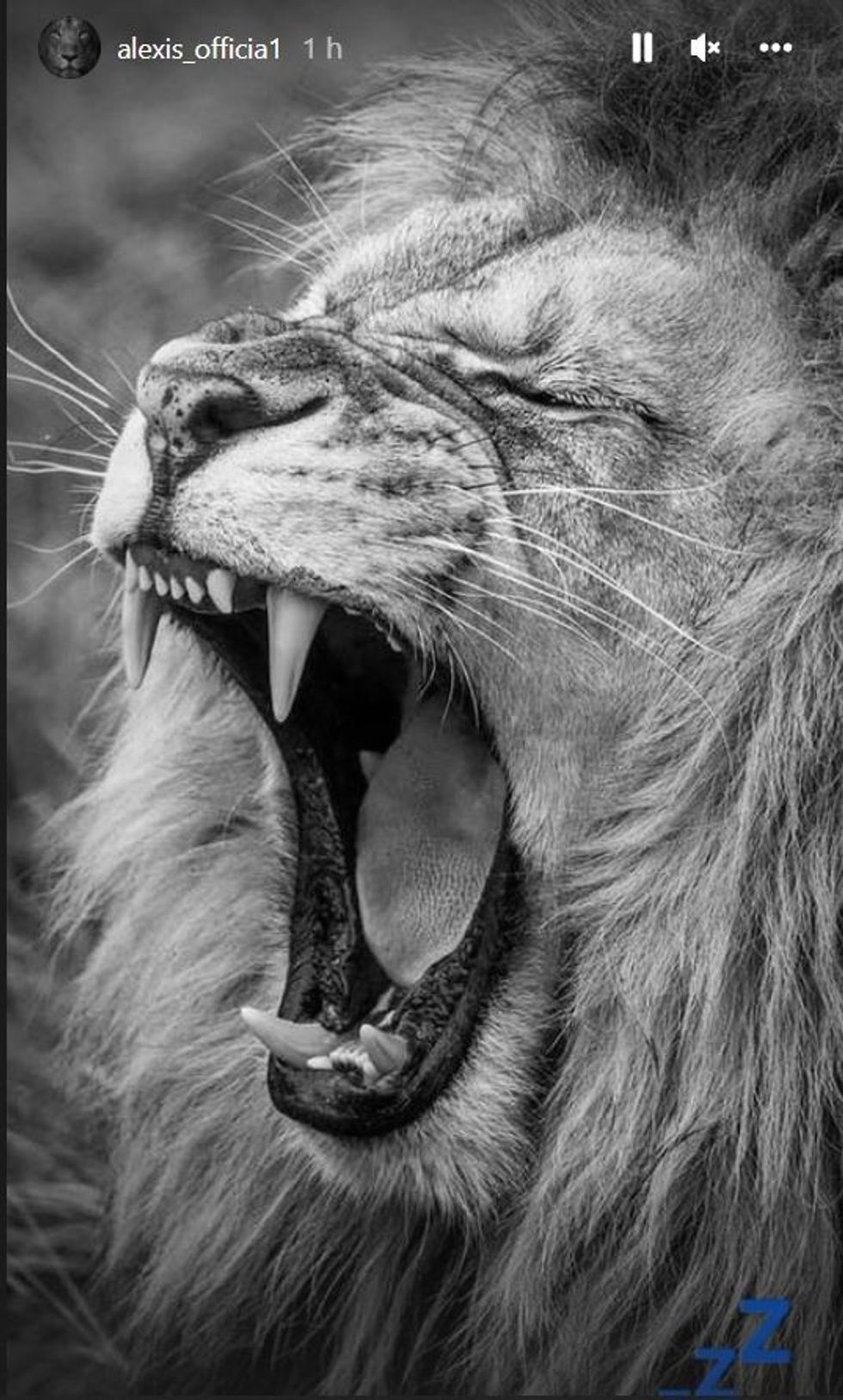 alexis sanchez inter liverpool 2022 instasgram