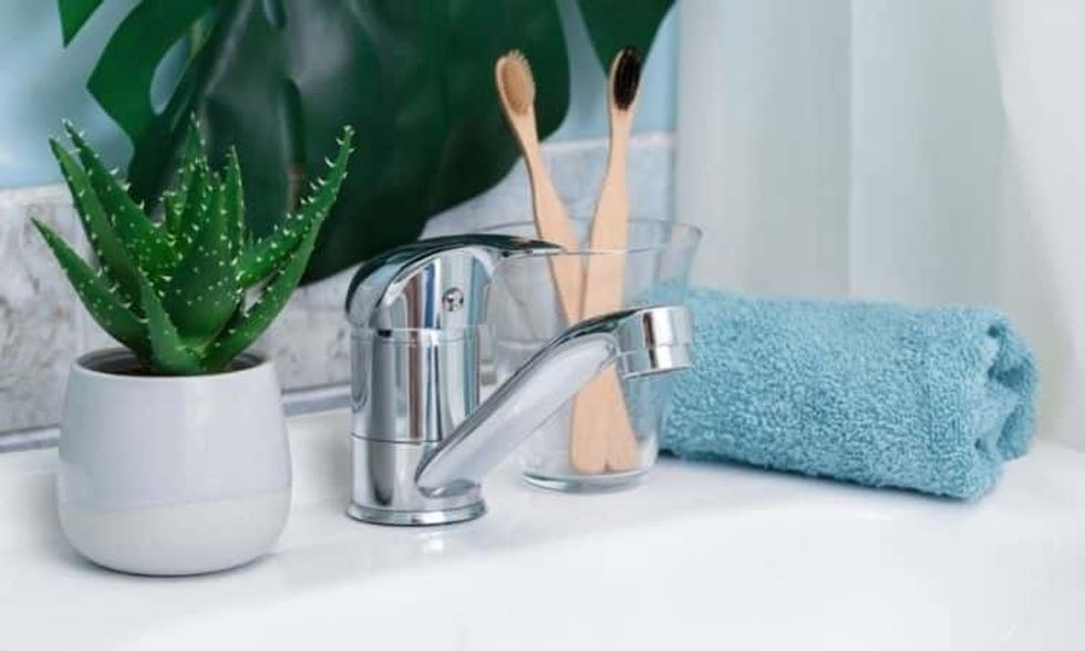 aloe in the bathroom