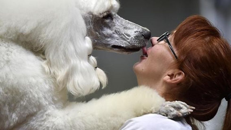 APTOPIXGermanyDogShowJPEG 0d0ac 1399645006 kguH U103010062971664YG @LaStampa.