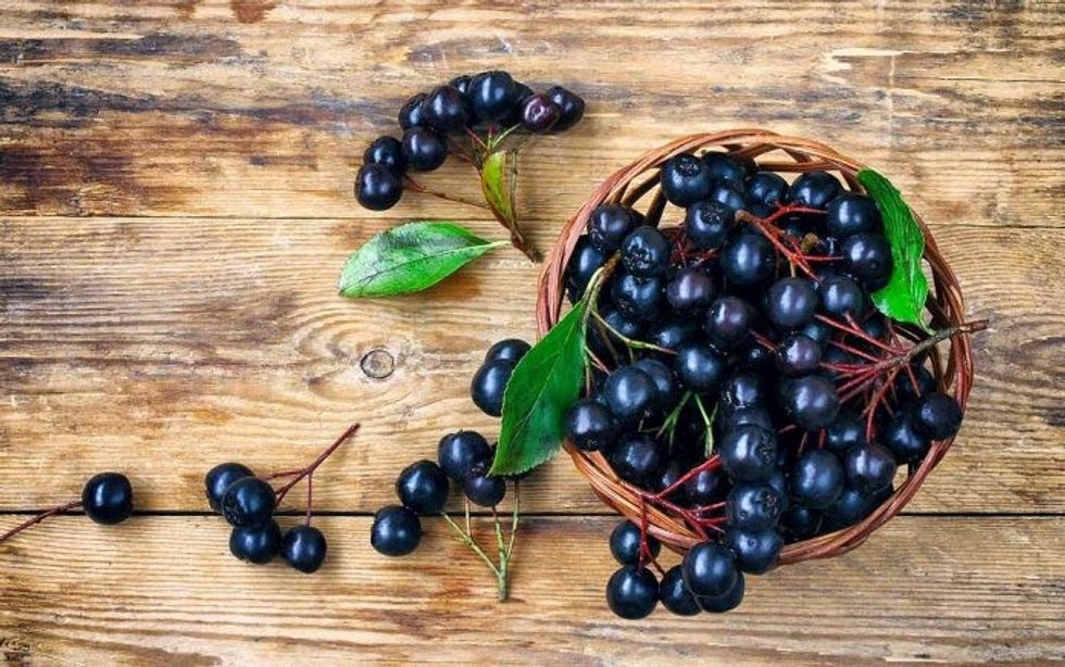 Are Aronia Berries the Newest Superfoods 1