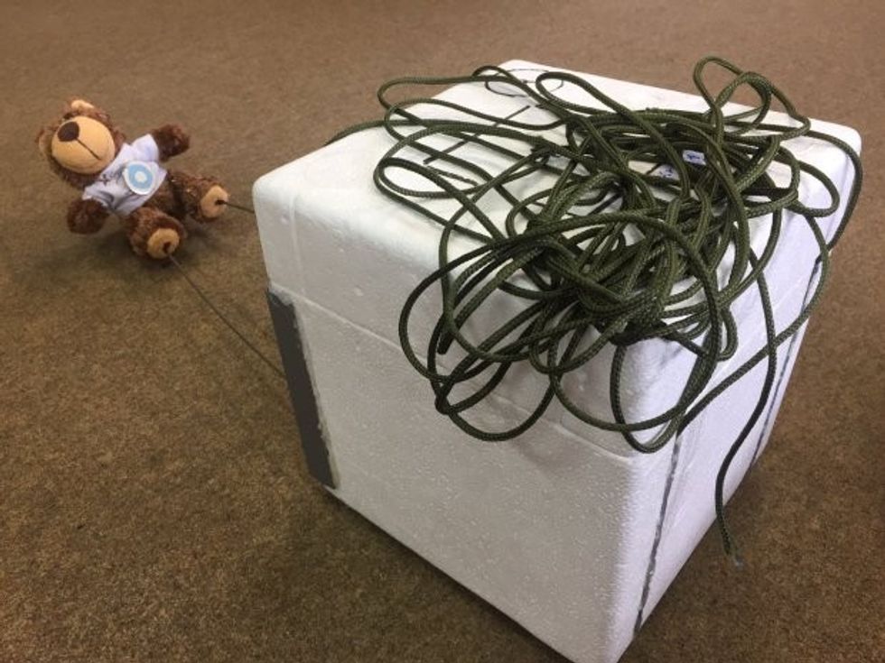 Ariu lodër arriti në hapësirë i kapur për balonën e punuar nga nxënësit foto 2