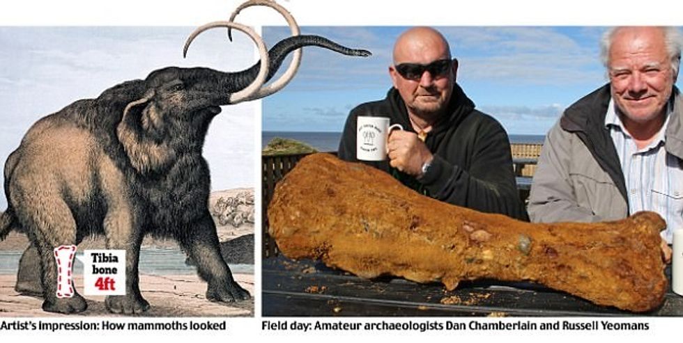 Arkeologët amatorë gjetën ashtin e vjetër më se dy milionë vjet foto 2