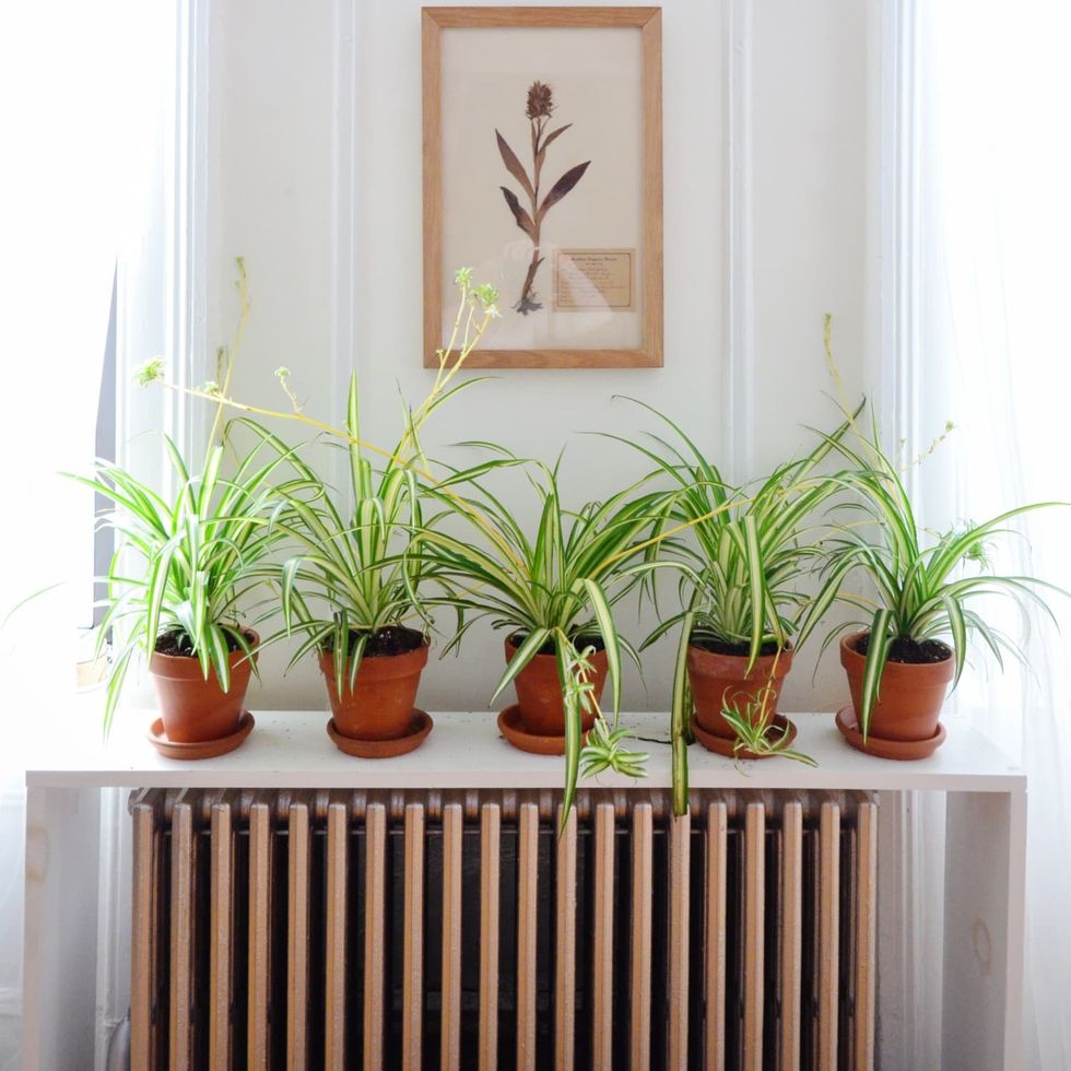 at archive c7ead19782c4d007b535a585481d20ea7e845b57