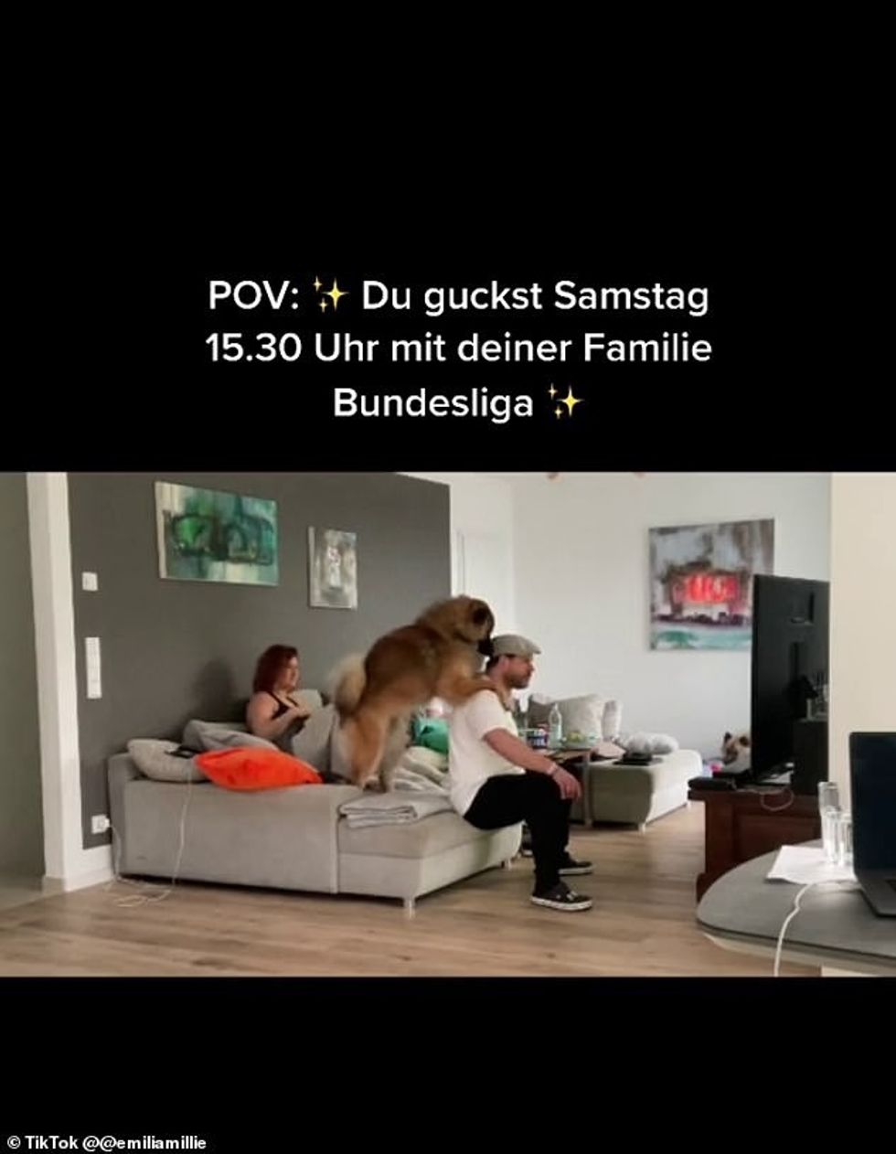 At one point the family dog puts their paws on his shoulders in an effort to calm him down