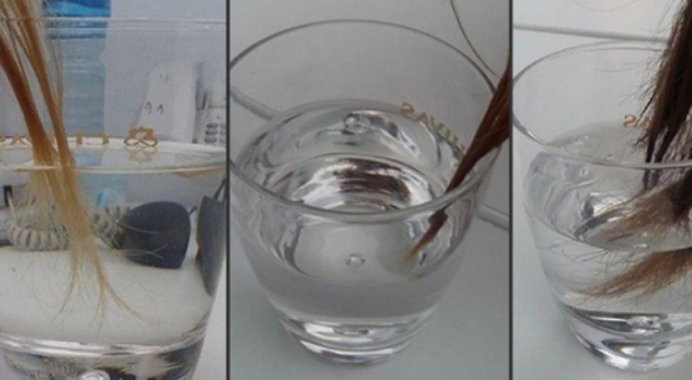 auto 1475347725 121475410025