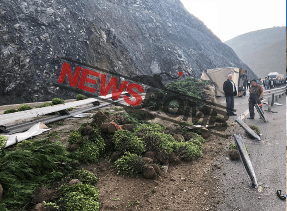 auto 555 1525673934 24049821525674174