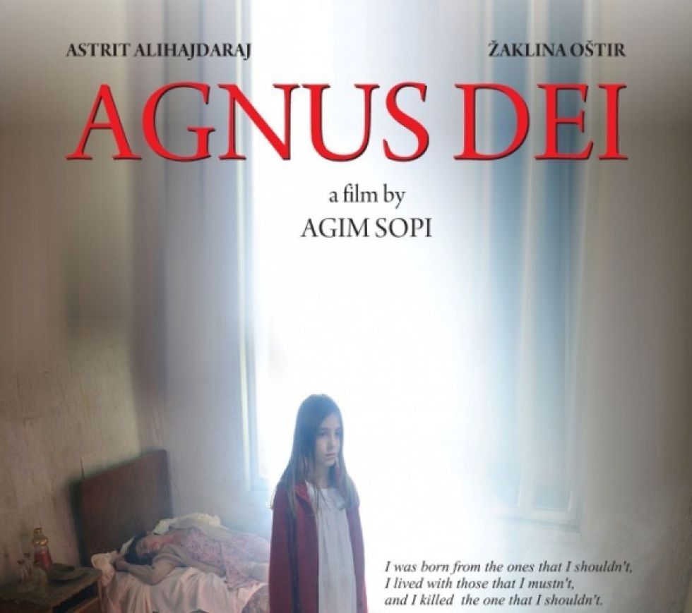 auto auto 29agnus14960610431505728894