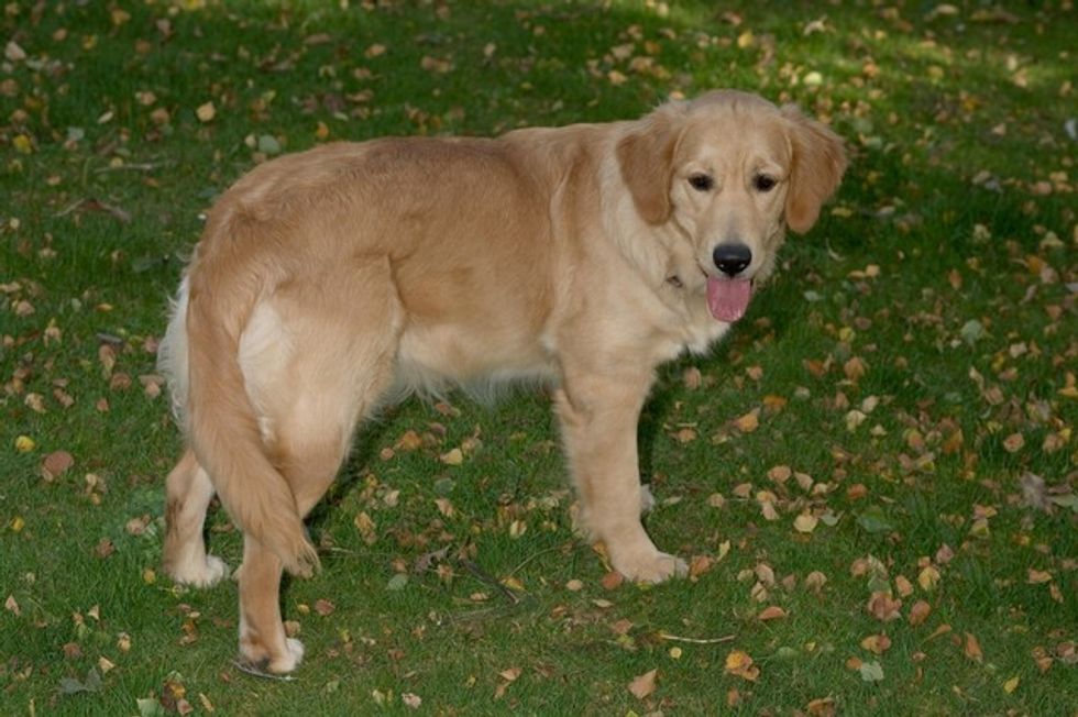 Ay0k9lMaHR0cDovL29jZG4uZXUvaW1hZ2VzL3B1bHNjbXMvT0dFN01EQV8vNTVjNmM1NjRlZWU5ODFlZTRmNGFlM2UzZDczNmVkOWUuanBlZ5GTAs0CgACBAAE 1