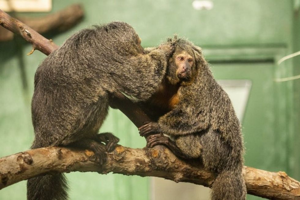 b0599ae8e60007a3fad5b4c71f0ca67f54b2063b