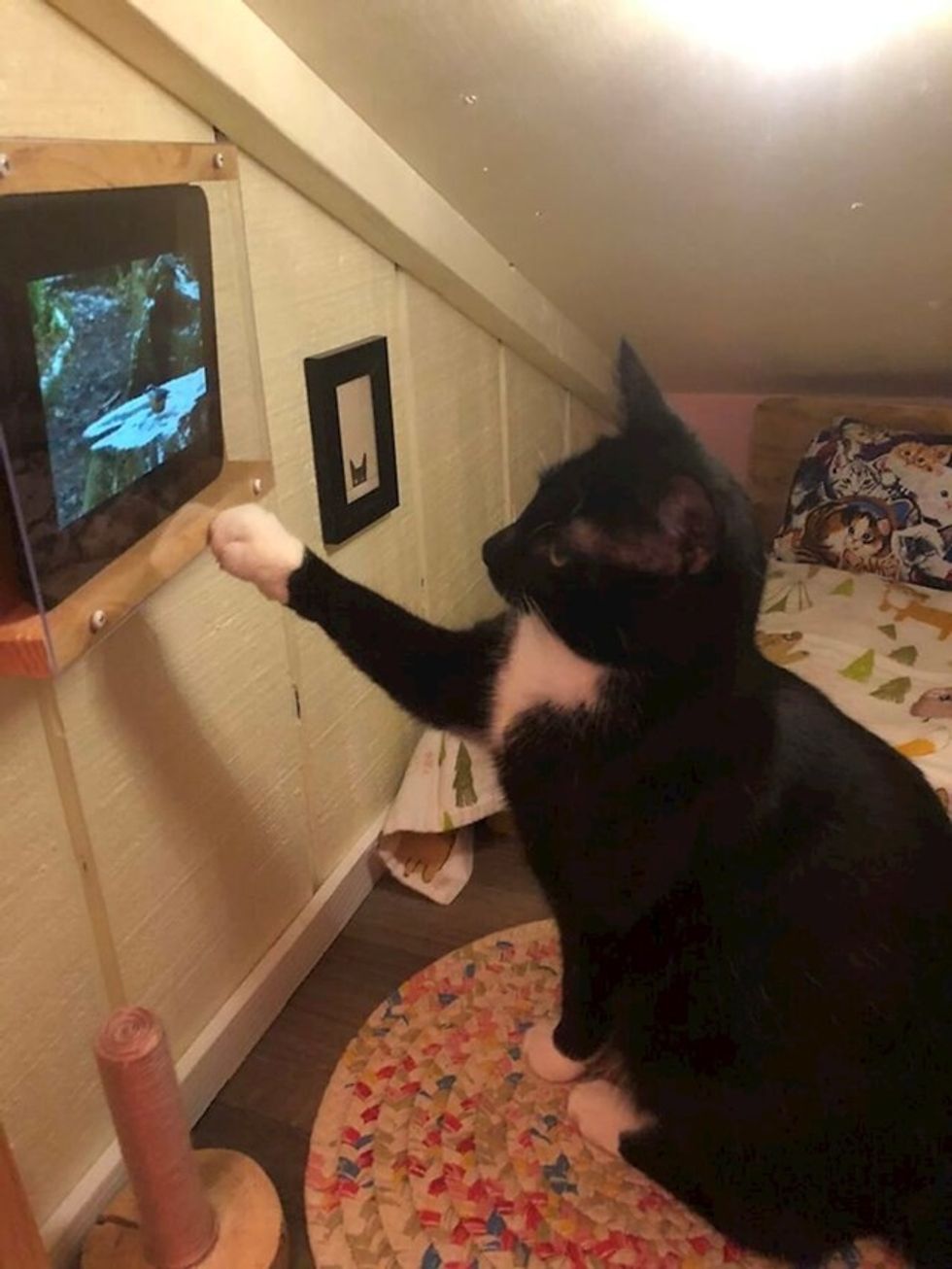 b1cc2550 90a0 431e b5e8 e8c88bfd89fb