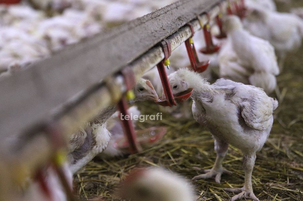 b36c33a6 e601 4eb2 9f4f 1ac29ecc3aa3