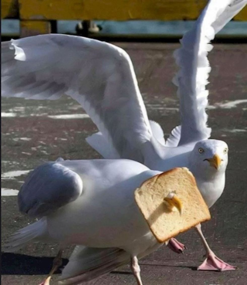 b3d05bc9 f4ae 4dc1 978c c55e7832465c