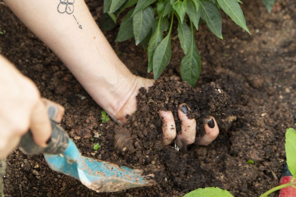 b414351a 67e5 11e9 a2c3 042d2f2c8874 image hires 170633