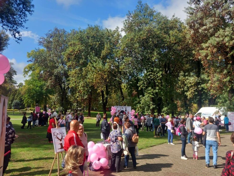 b41d2574 913f 4fe3 a2c4 c1984bbad461 1 1