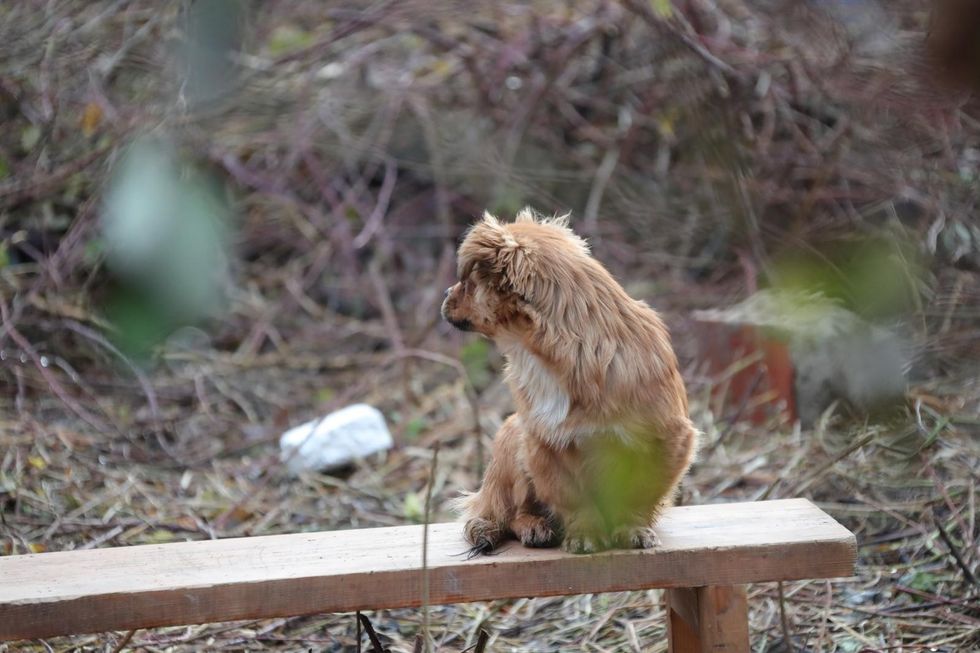 b4808fe3 3184 4c3e a1a8 b83787d4ff11