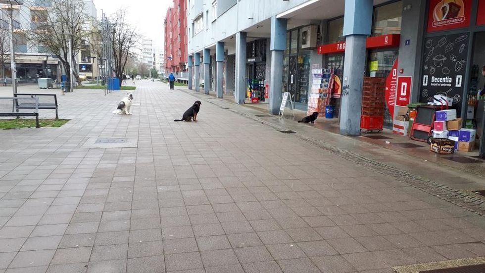 b603cefed8b748e72ade